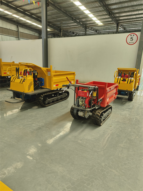 爬山虎廠家定製